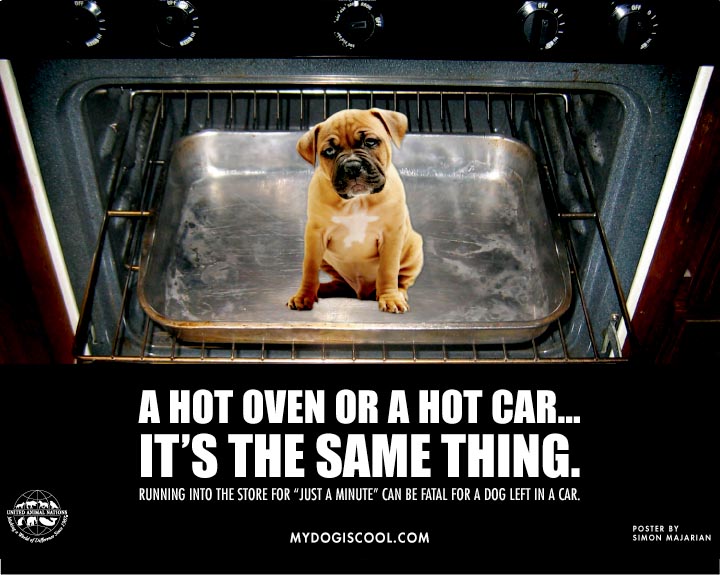 Oven, Car, Same Difference