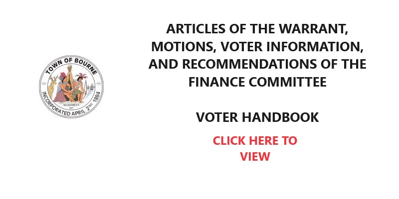 Voter Handbook