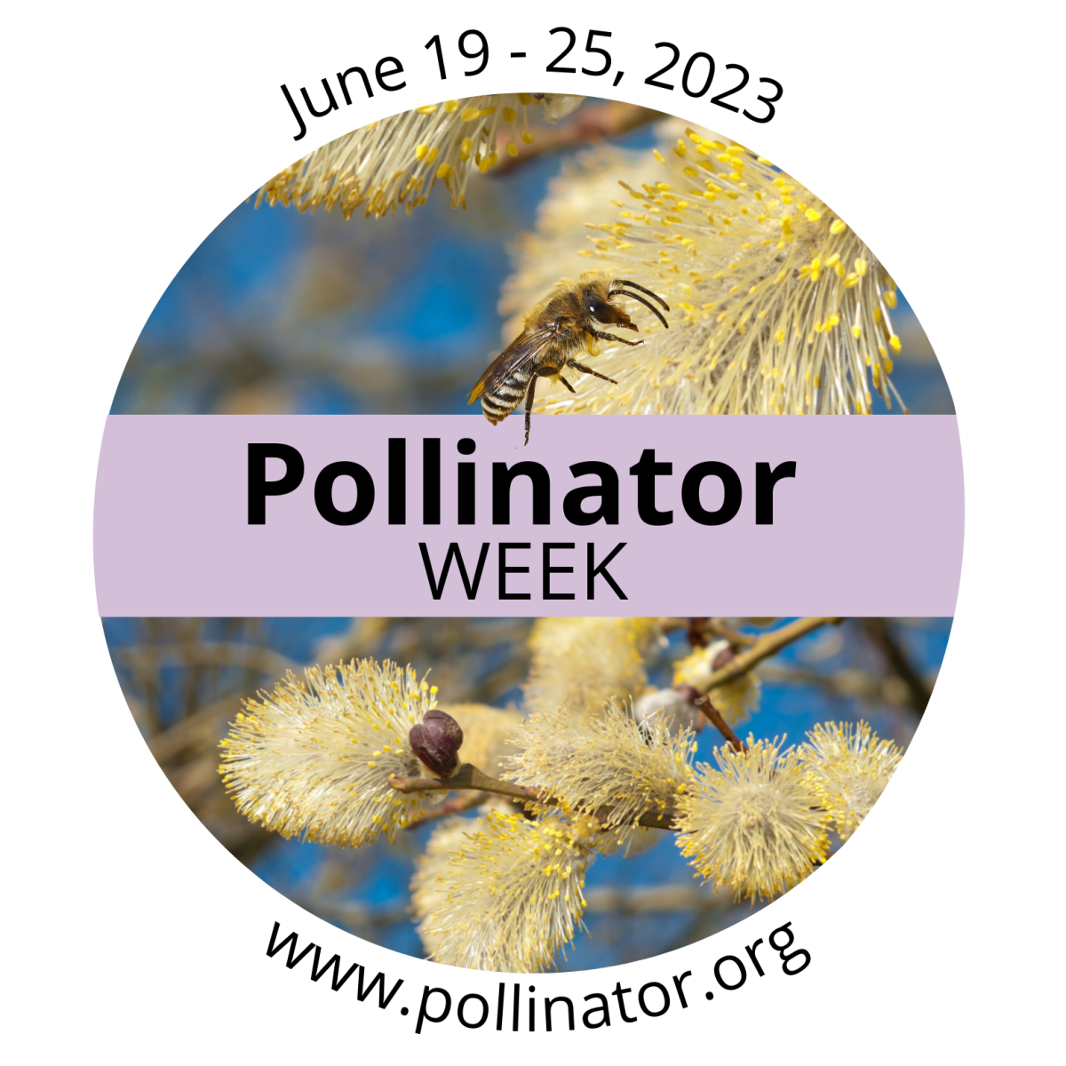 Pollinator week June 19-25, 2023