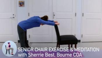 Chair Exercise Video 2