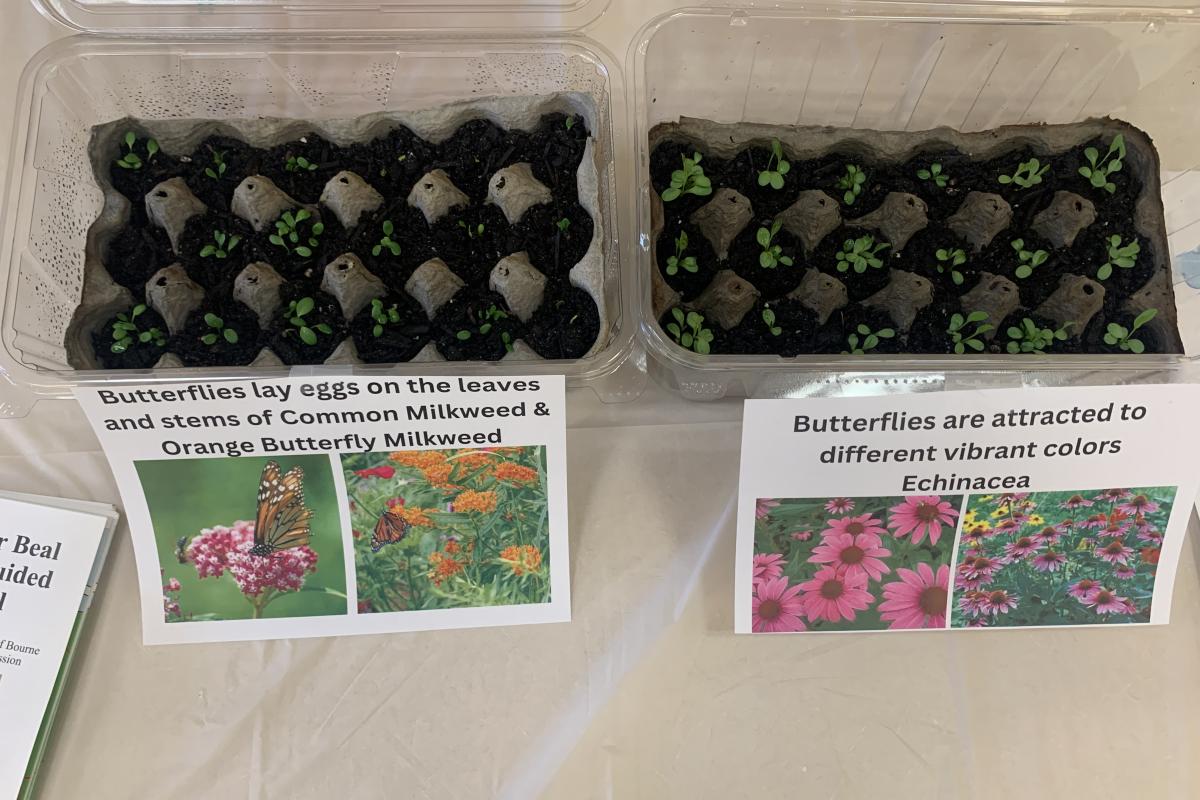 Egg cartons and salad containers are a great way to get your seeds started in spring! 