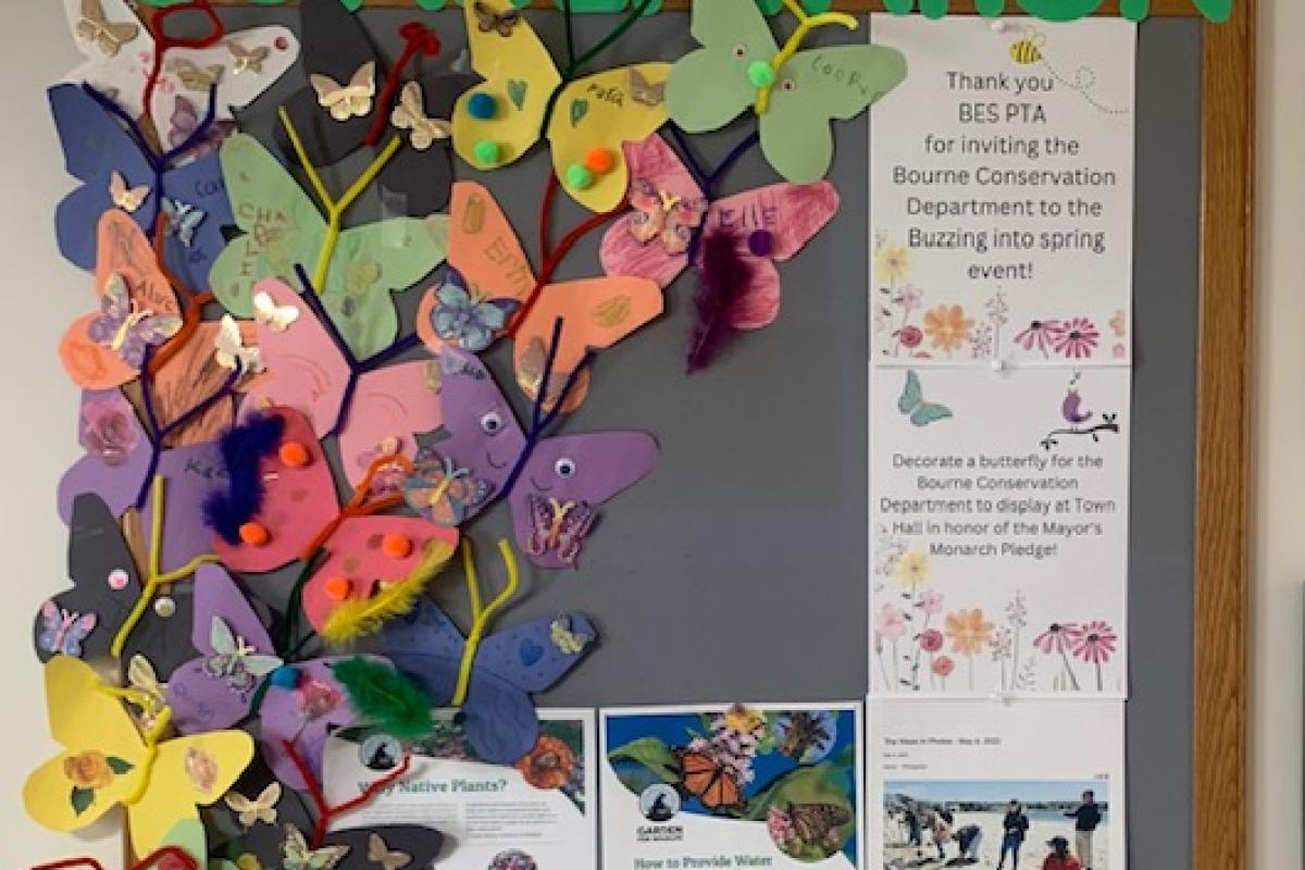 Fabulous job to the attendees who decorated butterflies in honor of the Mayor's Monarch Pledge to display at Town Hall. 