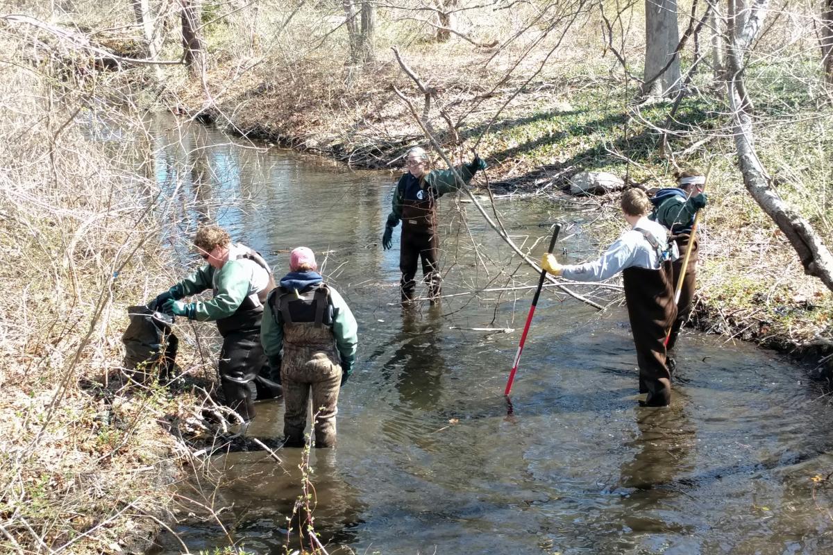 AmeriCorps crew works on the Bourne Pond River.