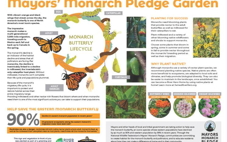 Mayor's Monarch Pledge Garden 